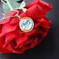 TEST Circle Necklace Charity Never Faileth